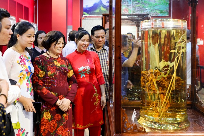 Bảo tàng sâm Ngọc Linh ở Sài Gòn mở cửa hàng tuần