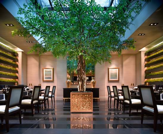 bat-mi-5-nha-hang-dang-cap-sao-michelin-o-resorts-world-sentosa-singapore-ivivu-21 bat-mi-5-nha-hang-dang-cap-sao-michelin-o-resorts-world-sentosa-singapore-ivivu-21