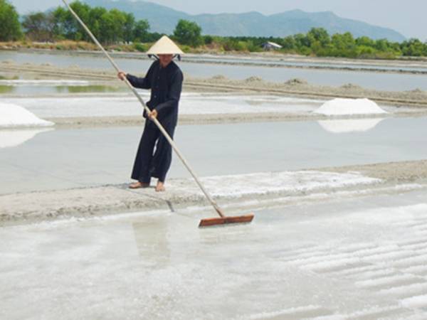 Ruộng muối ở đảo Long Sơn