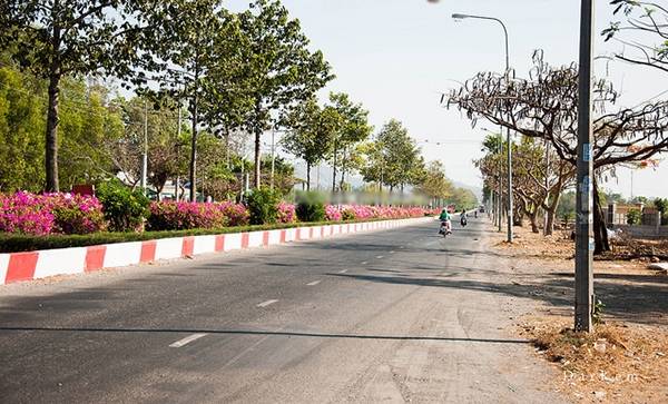 Đường vắng xe dẫn đến đảo Long Sơn