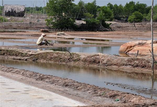 Cánh đồng muối trên đường đến đảo Long Sơn