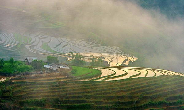 Ruộng bậc thang trong ánh hoàng hôn
