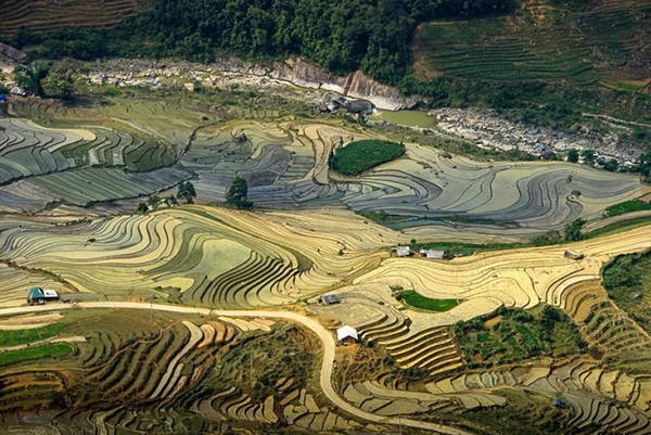 ​Bát Xát ruộng bậc thang mùa nước đổ
