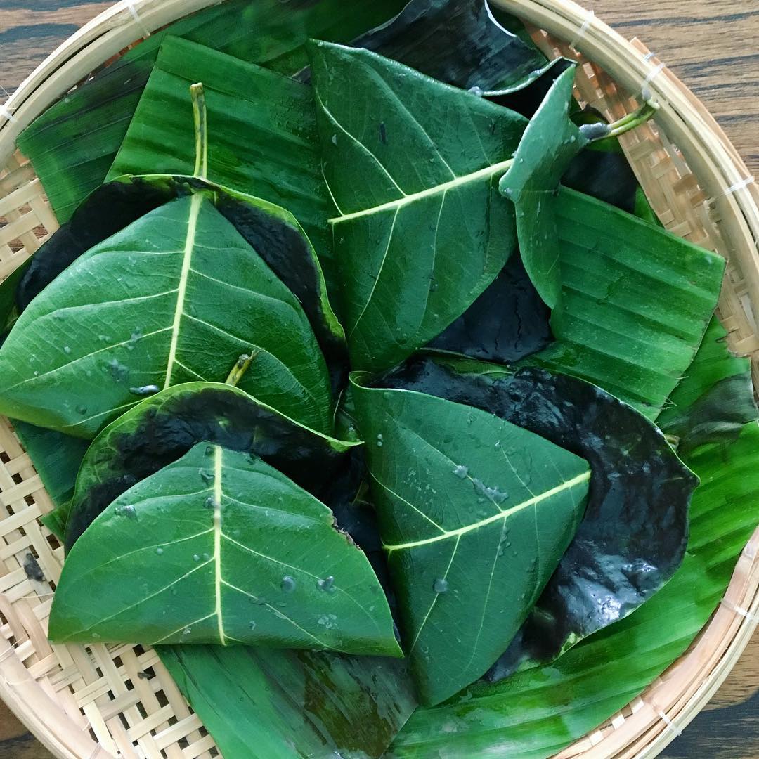 Bánh lá mơ màu đen nhạt - Thức quà miền Tây