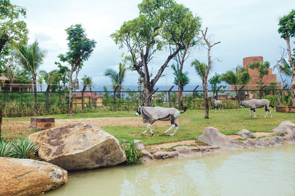 Ảnh: Giang Di Linh