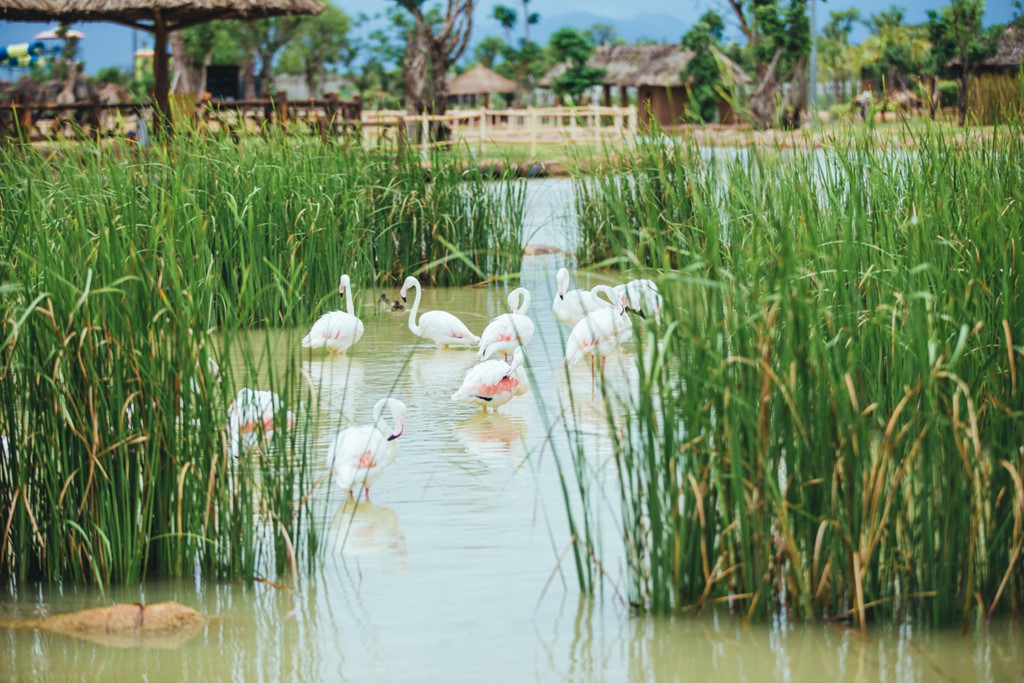 Ảnh: Giang Di Linh