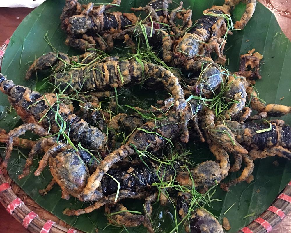 Bò cạp Bảy Núi-ivivu
