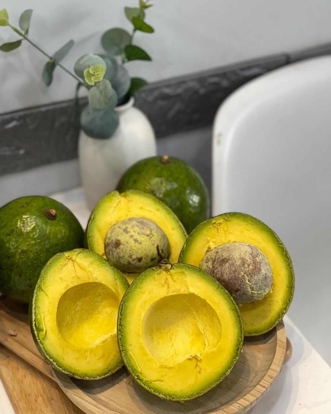 Bơ sáp đặc sản Đắk Lắk