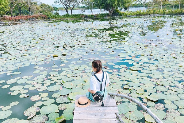 Khu vực bên trong khuôn viên của Suối Mơ có nhiều background đẹp dành cho những bạn thích chụp hình. Ảnh: Trân Trần.