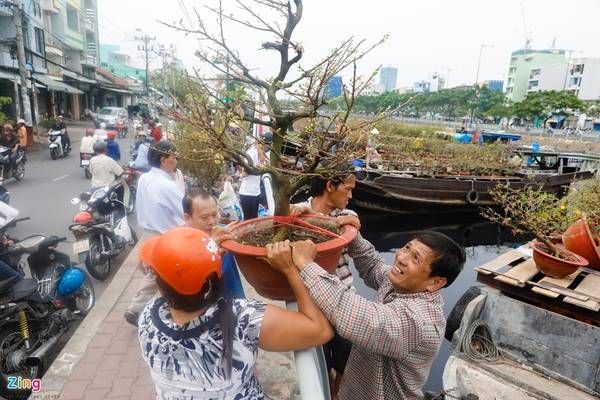 Mai lớn giá 1-2 triệu tại Bến Bình Đông