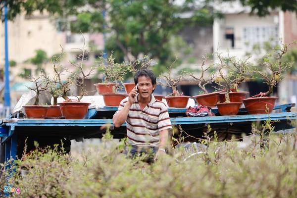 Giao hoa kiểng từ Bến Bình Đông đi Bình Dương