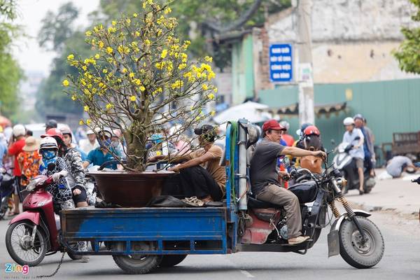 Giao mai sau khi mua hoa kiểng Bến Bình Đông