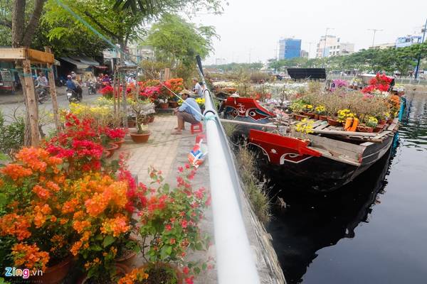 Hoa cúc, vạn thọ chở về Bến Bình Đông hoa kiểng