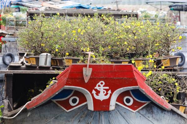 Ghe chở kiểng lớn cập bến Bình Đông