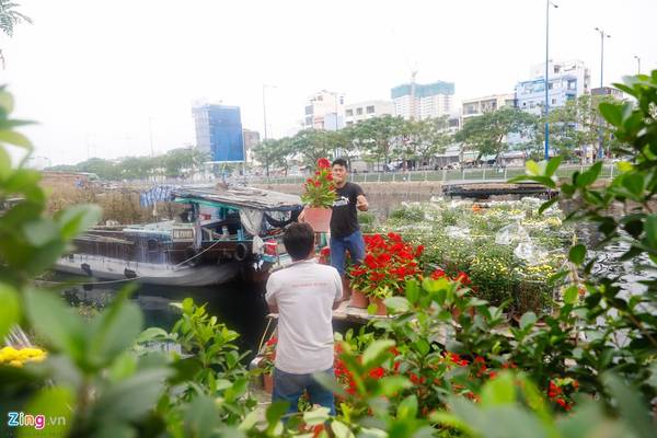 Chuyển hoa kiểng từ ghe lên bờ tại Bến Bình Đông
