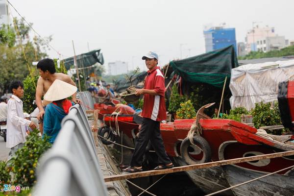 Lô bán hoa kiểng tại Bến Bình Đông
