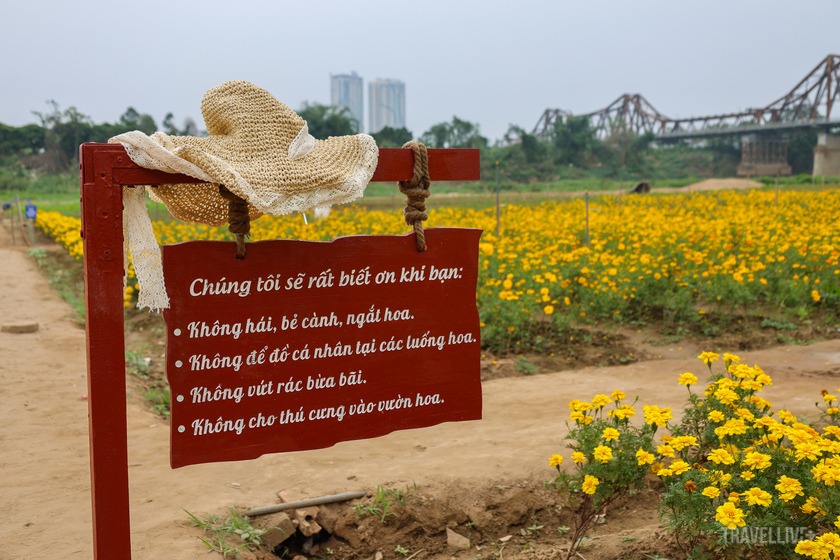 Không gian thơ mộng tại bến hoa Phúc Xá Hà Nội