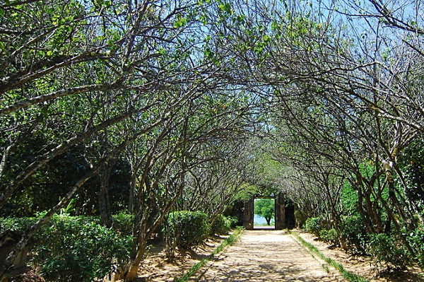 Vùng đất Kim Long có nhiều nhà vườn tạo nên một hệ thống nhà vườn đặc sắc. Từ giữa thế kỷ 17, chúa Nguyễn Phúc Lan đã chọn nơi này làm thủ phủ xứ Đàng Trong, và vùng đất này trở nên phồn thịnh. Bên cạnh những hoàng cung lộng lẫy là dinh cơ, phủ đệ của những ông hoàng, bà chúa và giới thượng lưu.  Theo sử sách ghi chép, tới thời nhà Nguyễn (1802-1945), vua Gia Long đã xây kinh thành mới ở khu vực làng Phú Xuân kế đó không xa. Khu vực Kim Long không hề kém vị thế, lại càng phù hợp để xây dựng những cơ ngơi riêng của hoàng tộc và quan lại triều đình. Nhà vườn An Hiên cũng như nhiều nhà vườn khác ở nơi đây được ra đời trong bối cảnh ấy.