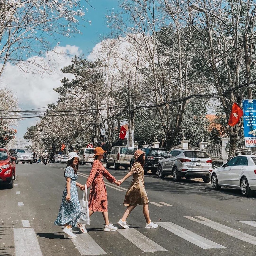 Kiểu dáng sống ảo Đà Lạt khi di chuyển