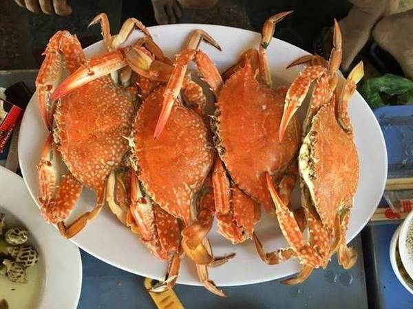 Ghẹ tươi sống được ngư dân bán trực tiếp tại biển Dinh Cô