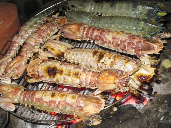 Tôm tít là món đặc sản được du khách rất yêu thích khi đến đây