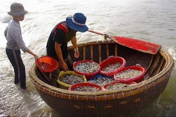 Tại đây, bạn có thể thưởng thức hải sản tươi sống mua tại các thuyền chài lúc vừa cập bến với giá rẻ