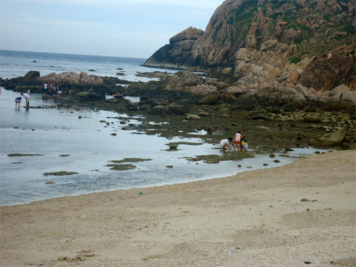 Nhặt san hô trên bãi biển Bình Ba
