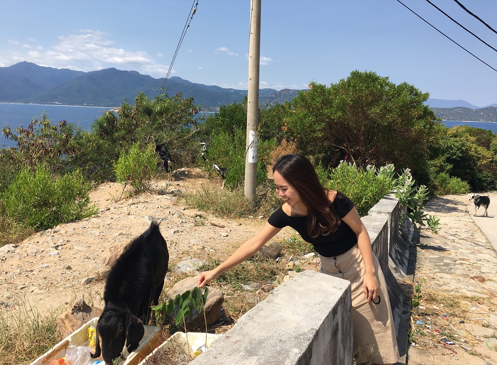 Chúng khá thân thiện và không sợ người.