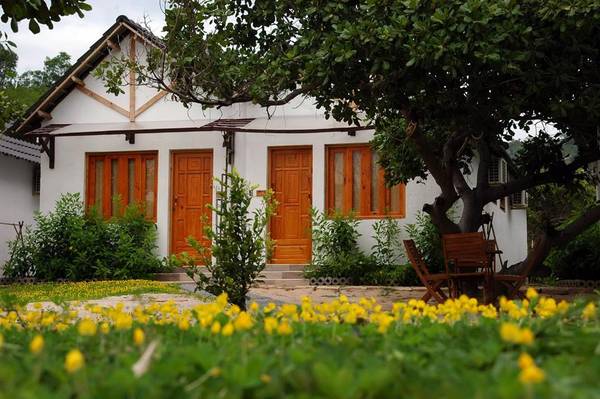 Villa Đảo Hoa Vàng.