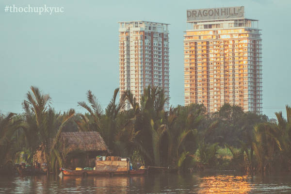 Bình yên nắng sớm.