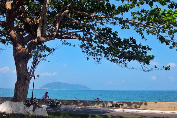 Hoang sơ biển Côn Đảo du lịch Côn Đảo