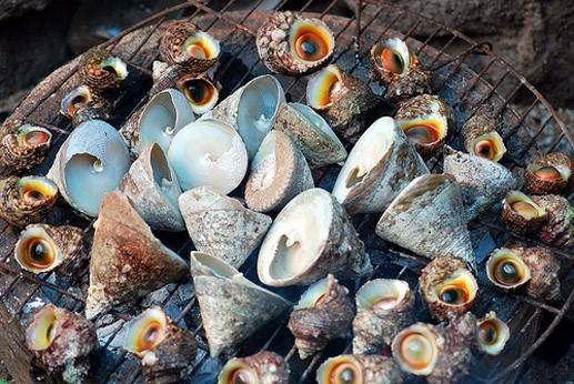 Đặc sản ốc vú nàng trên đảo Phú Quý