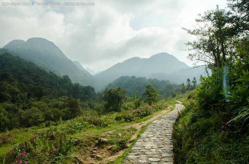 Con đường vắng vẻ và thơ mộng dẫn tới suối Vàng và thác Tình Yêu. Ảnh: Trần Việt Anh.