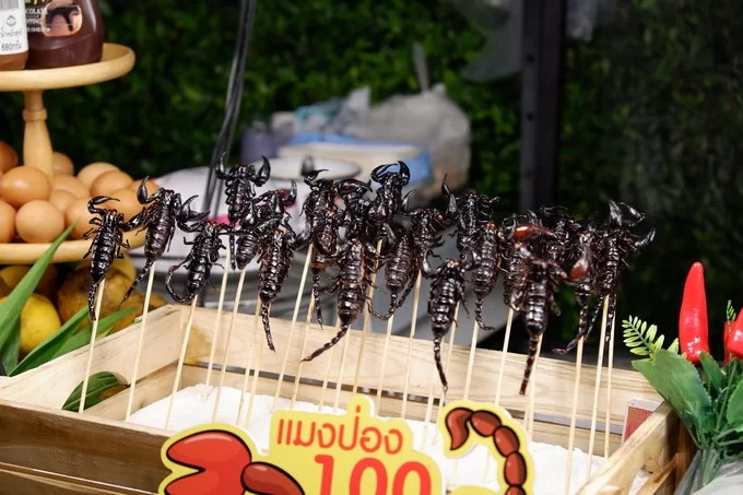 Bọ cạp chiên Chiang Mai - Món ăn đường phố độc đáo