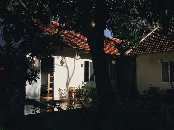 Ảnh: Bơ House
