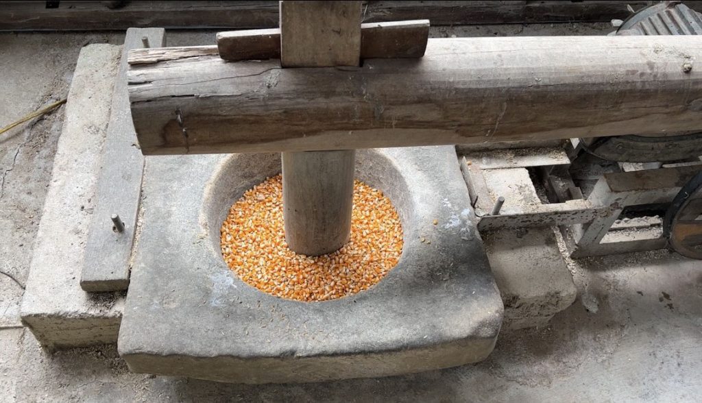 Giã bắp trong quy trình làm bún bắp Phú Yên