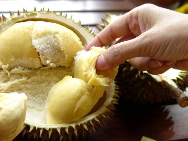 Quả sầu riêng chín múi vàng ươm ngọt ngào
