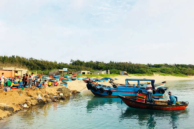 Bãi Phủ thì tập trung ghe đánh bắt cá mực nhiều hơn.