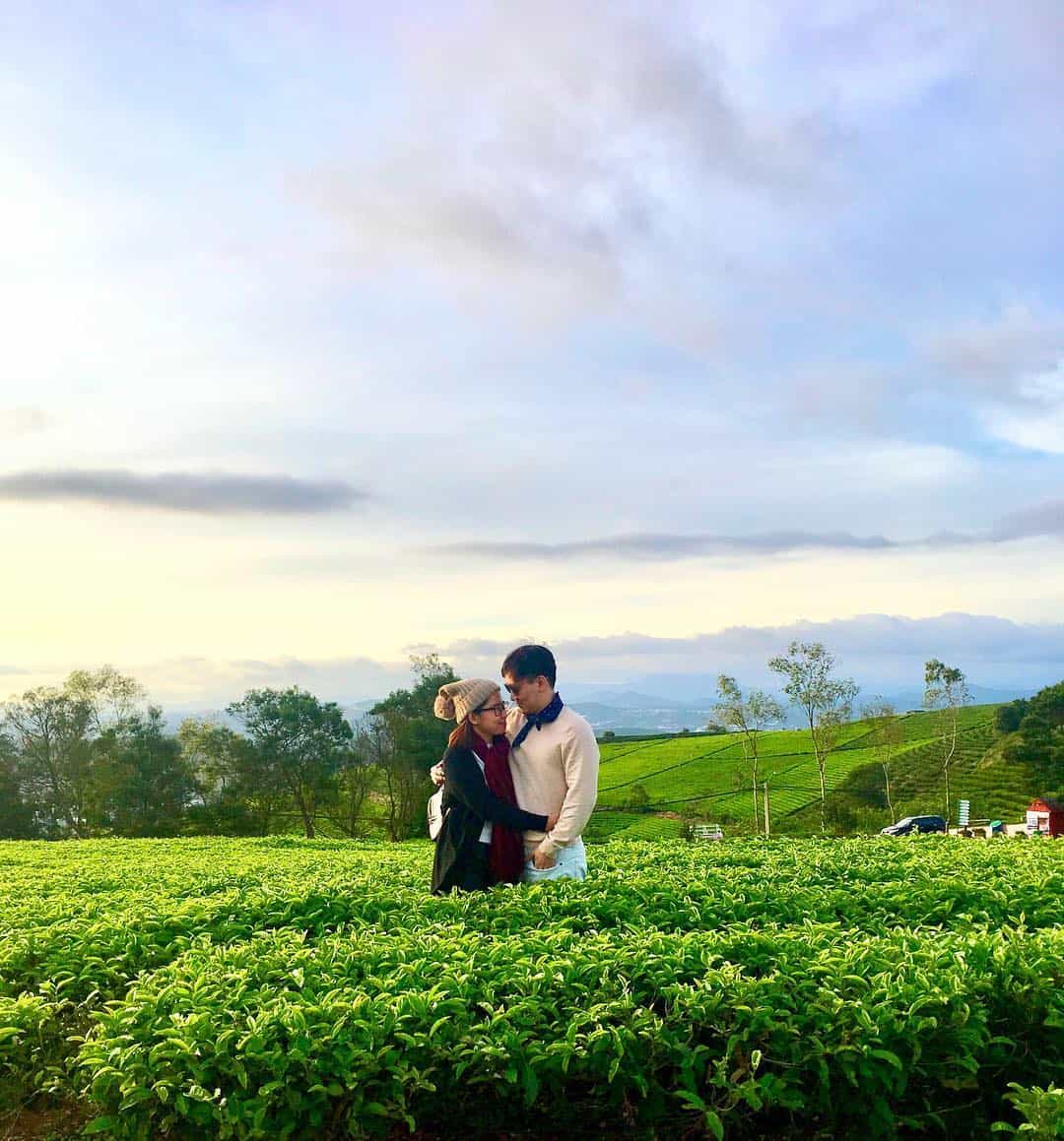 Đồi chè Cầu Đất - địa điểm hẹn hò Đà Lạt
