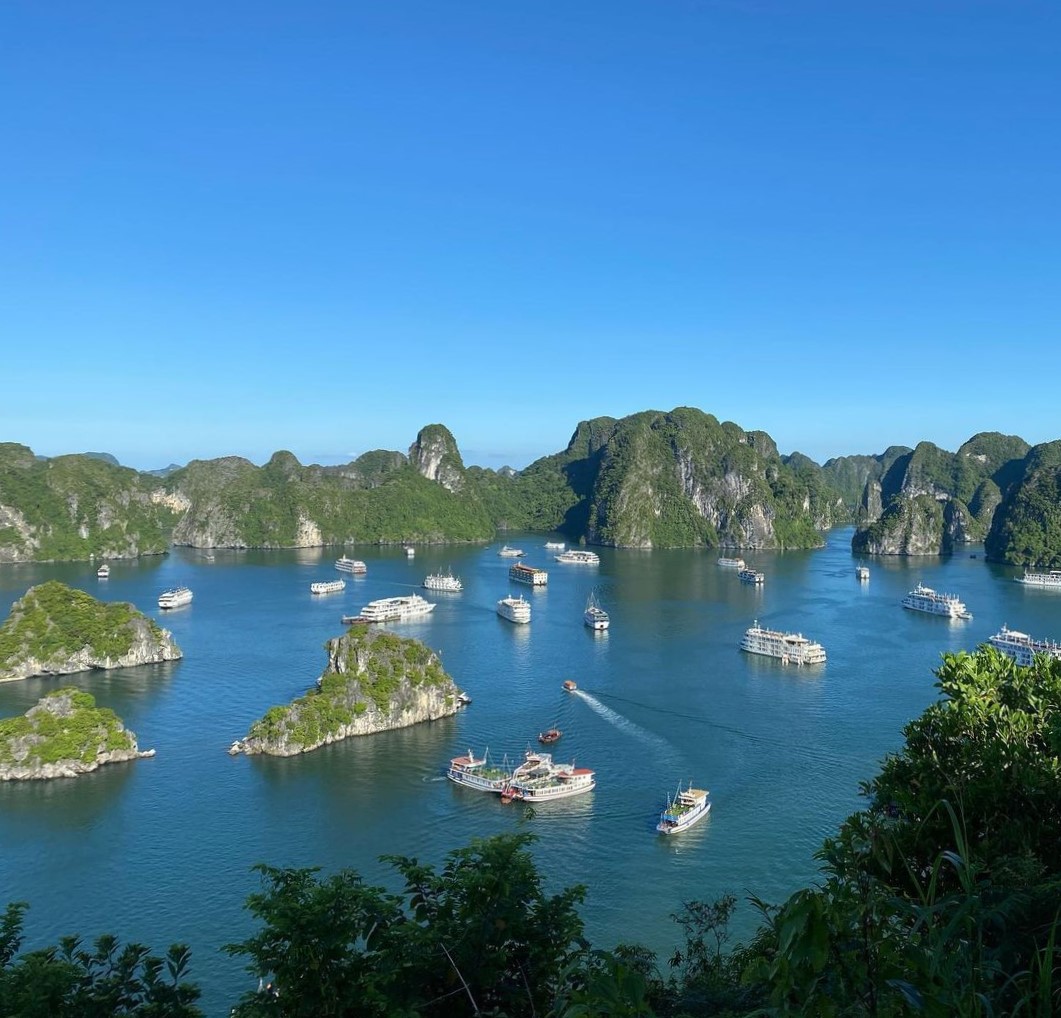 Động Thiên Cung Vịnh Hạ Long với thạch nhũ lung linh