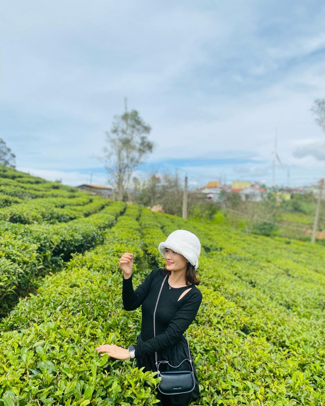 Check-in đồi chè Cầu Đất tour Tết Đà Lạt