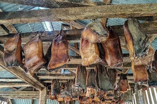 Cá mập thối – món vừa ăn vừa bịt mũi