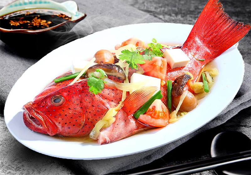 cá-mú-đỏ-ivivu