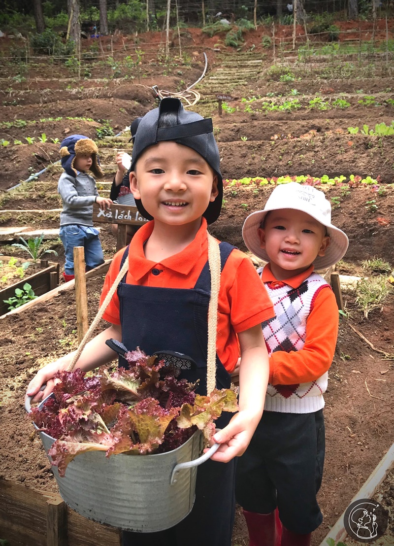 ca-nha-cung-vui-tai-rung-thong-mo-farm-bistro-giua-rung-da-lat-ivivu-07 ca-nha-cung-vui-tai-rung-thong-mo-farm-bistro-giua-rung-da-lat-ivivu-07