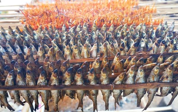 Cá thiều chỉ có ở lòng hồ sông Đà, dùng chế biến cá nướng Thung Nai