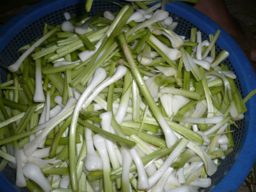 Gỏi tỏi - Đặc sản Lý Sơn mang đậm bản sắc đảo