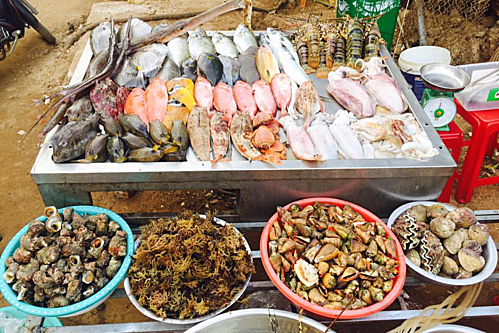 Hải sản tươi Lý Sơn - Đặc sản Lý Sơn đa dạng