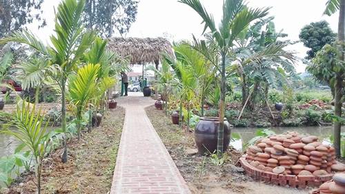 Khung cảnh thanh bình ở làng quê Yên Đức.