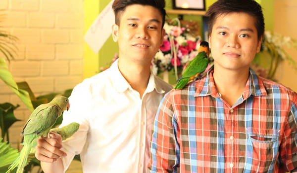 vui đùa cùng vẹt cảnh tại quán café