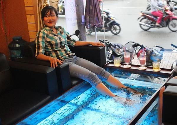 trải nghiệm massage cá tại quán café thú cưng Sài Gòn